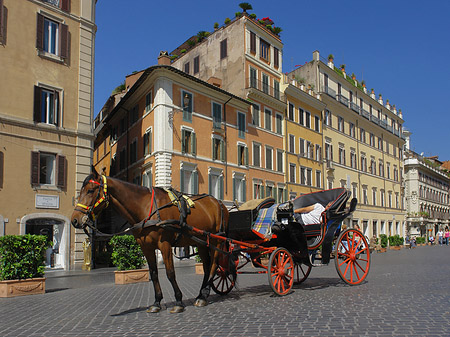 Pferdekutsche auf der Piazza die Spagna Fotos