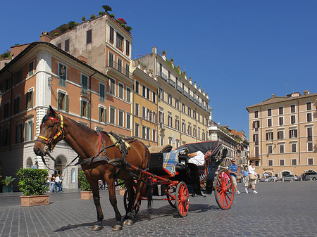 Pferdekutsche auf der Piazza die Spagna Foto 