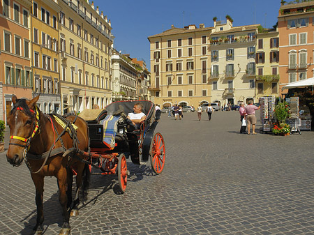 Pferdekutsche auf der Piazza die Spagna